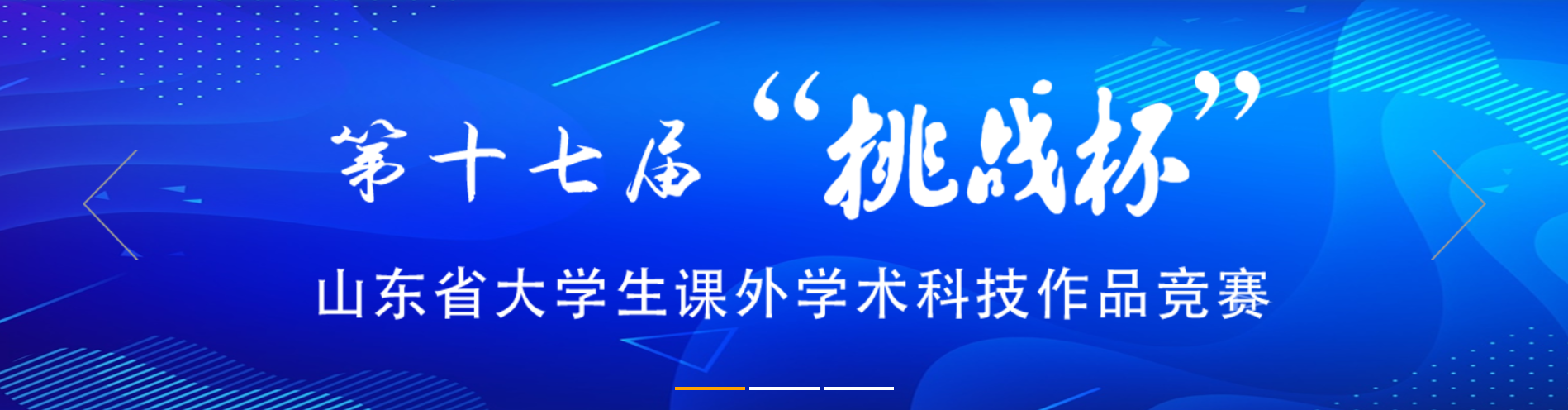 第十七届"挑战杯"山东省大学生课外学术科技作品校级赛事